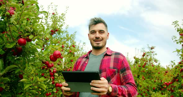 Farmer with Tablet Harvest Inspection Agronomist is Using Digital Tablet