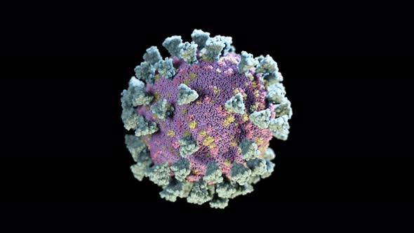 Rotation of a Coronavirus Cell on a Black Isolated Background