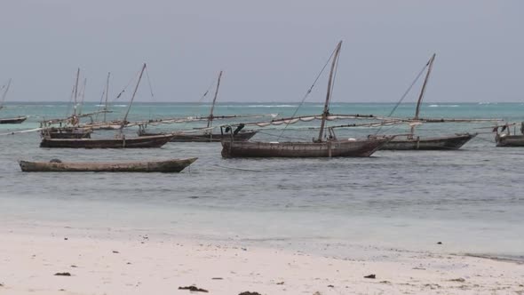 Lot African Traditional Wooden Boats Anchored on Shallow By Ocean Beach Zanzibar