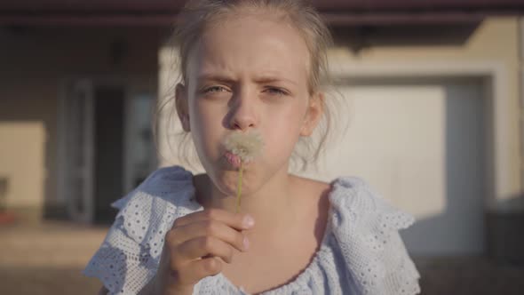 Portrait of a Pretty Cute Little Girl Blowing a Dandelion and Looking at the Camera