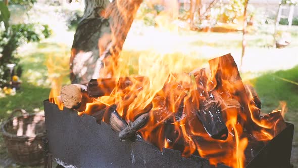 Burning Firewood