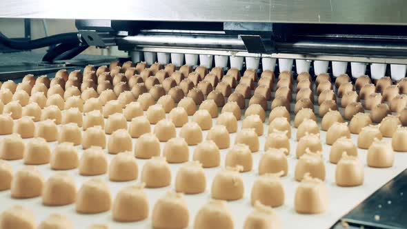 Manufacturing of Fudge Sweets Carried Out By a Factory Machine
