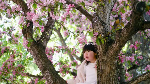 Korean Girl in a White Light Fur Coat and a Headband Sitting on a Tree Branch in a Garden with