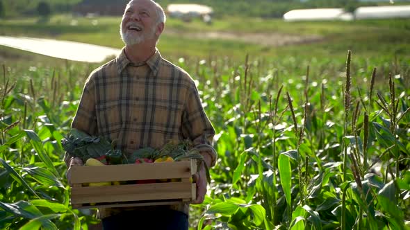 Close up farmer is holding a box of organic vegetables look to sky at sunlight agriculture farm fiel