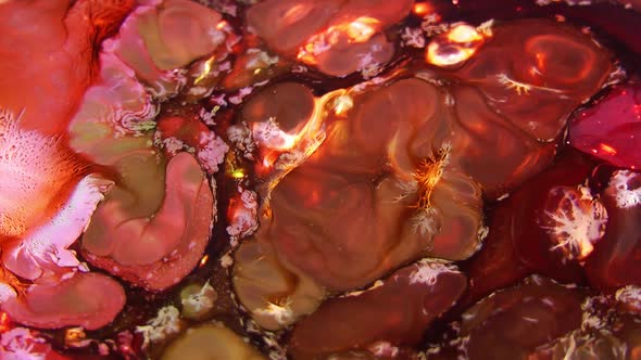 Vibrant Swirling Colors Explosion Paint Blast 20 alt