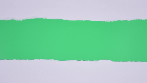 Torn Paper Transitions on Green Screen Background