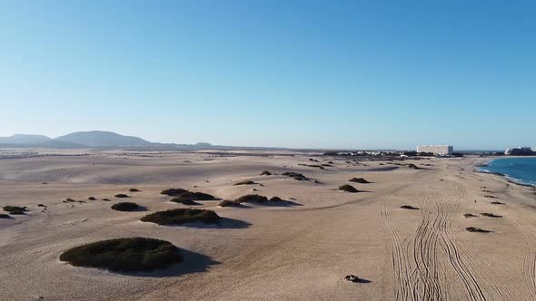 Panoramic Shot of an Empty Lonely Sandy Beach with Small Bushes at the Atlantic Ocean in the Soft