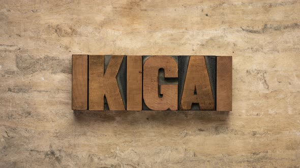 Ikigai word, Japanese concept  of a reason for being or a reason to wake up