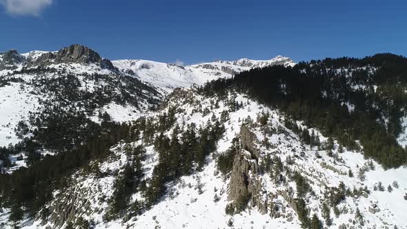 Aerial forest landscape in winter.