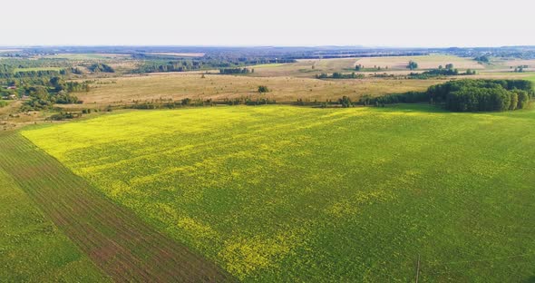 Aerial View of Green Grassy Fields in the Summer Day with Forest and Villages