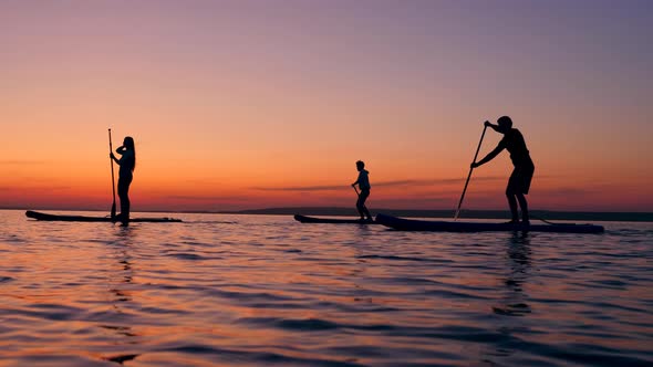 Group of Young Friends Are Riding Paddleboards at Sunset