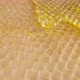 Sweet Honey Flowing Down the Honeycombs - VideoHive Item for Sale