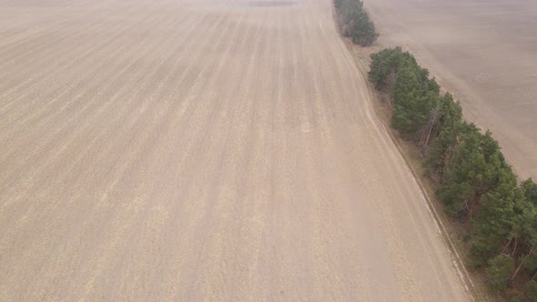 Land in a Plowed Field in Autumn