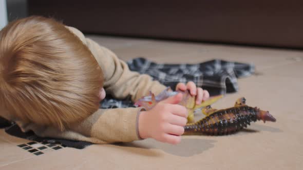 Little Boy Lays on Floor and Plays with Toy Dinosaurs at Home