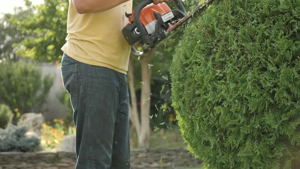 Man trimming a shrub