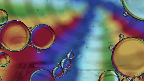 Abstract Colorful Food Oil Drops Bubbles 151