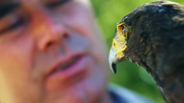 Man looking at falcon