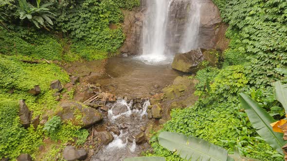 Amazing Rainforest Jungle Waterfall in Bali, Indonesia