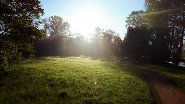 Flight Over a Meadow with Trees and Green Grass with Shiny Dew in a Park