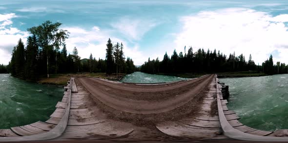 360 VR Virtual Reality of a Wild Forest. Pine Forest, Small Fast, Cold Mountain River. National Park