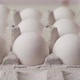 Dolly shot of whites eggs in cardboard box, side view - VideoHive Item for Sale