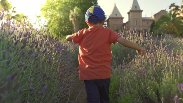 A Happy Boy Runs Along a Lavender Field Seen From Behind