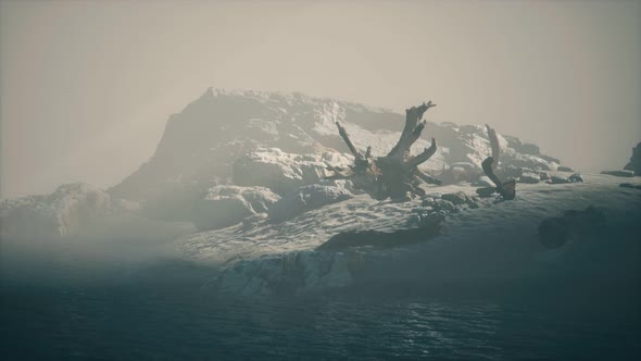 Rocky Cliff with Sand Beach in Deep Fog