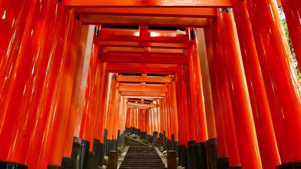 Torii gates glide in Kyoto, Japan