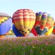 Colorful hot air balloons. - VideoHive Item for Sale
