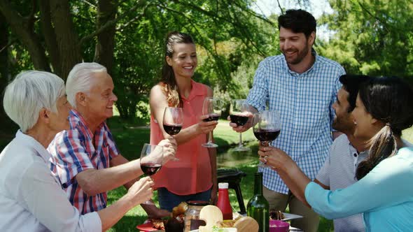 Family toasting glasses of red wine in the park