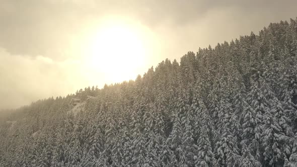 Flying up over forest covered in snow towards the sun during storm