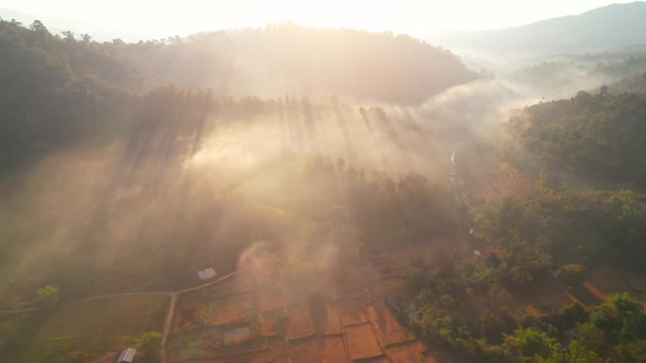 Aerial view of farmers farmland in dry season. beautiful scenery in the morning