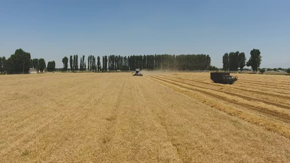 harvesting in an agricultural field