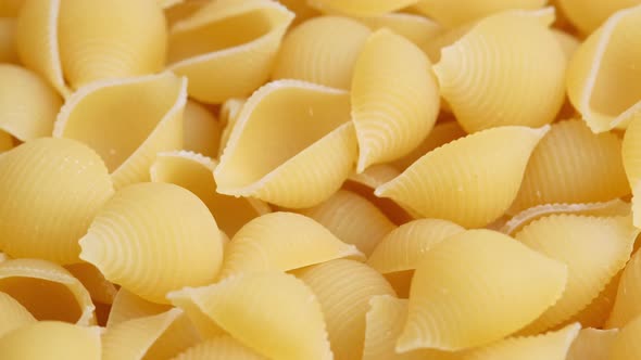 Dry Uncooked Italian Conchiglie Pasta Rotating Close Up