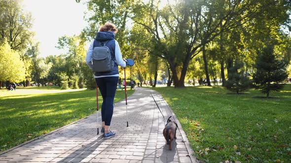 Senior Woman Nordic Walking with Dog Pet Friend