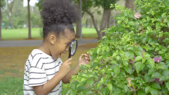 Cute little child girl looking through a magnifying glass for insects in tree at the park