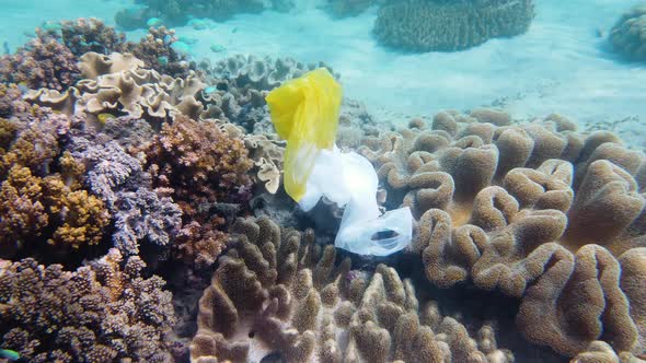 Beautiful Coral Reef Polluted with Plastic Bag.