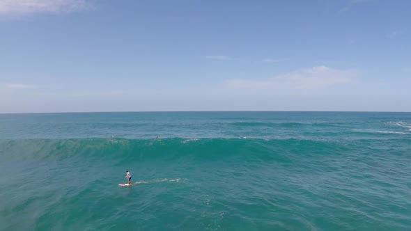 Aerial view of a man sup stand-up paddleboard surfing in Hawaii