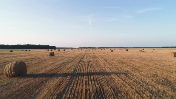 Flying Over Agricultural Fields.