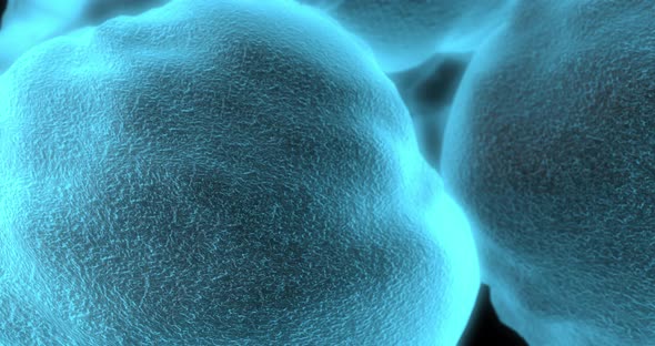 Organic Cells in Human Tissue