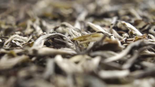 White Chinese tea falls in slow motion