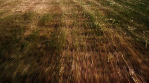 Drone Footage of Fields During Sunset