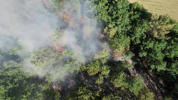 Forest Fire Aerial View