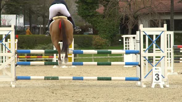 Jockey Jumping With Horses