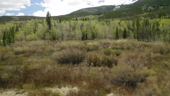 Closeup Aerial Flyover of Pine and Aspen Trees on a Mountain in Colorado (Frisco, Colorado)