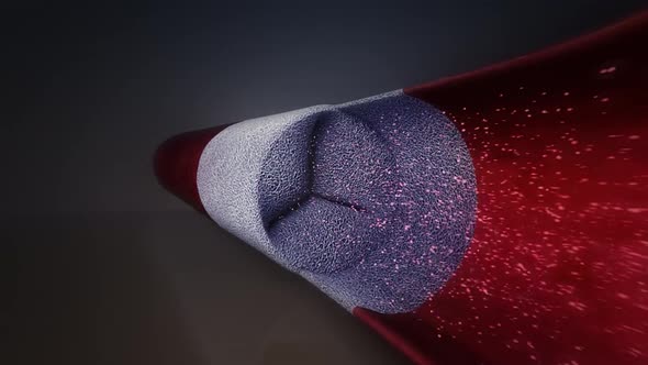Animation featuring a fluid or red blood cells flowing through a vein or artery in the body.
