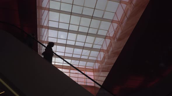 People on escalator in shopping centre