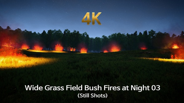 Wide Grass Field Bush Fires at Night 03 (Still Shots)