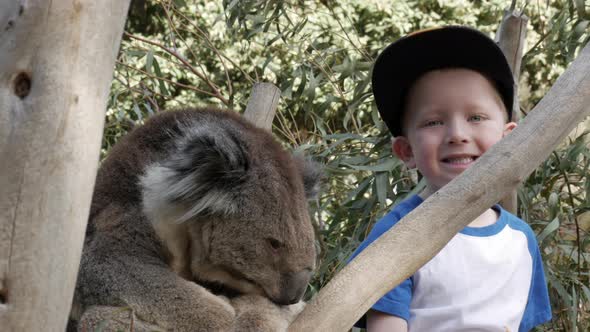 Young boy smiling at the camera while a koala rests in a eucalyptus tree.