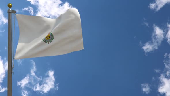 Santa Cruz De Tenerife City Flag (Spain) On Flagpole